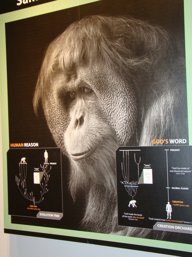 [DSC00789.JPG]