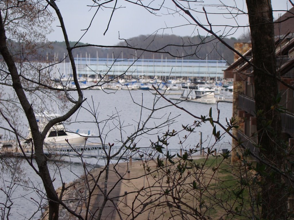 [DSC01040.JPG]