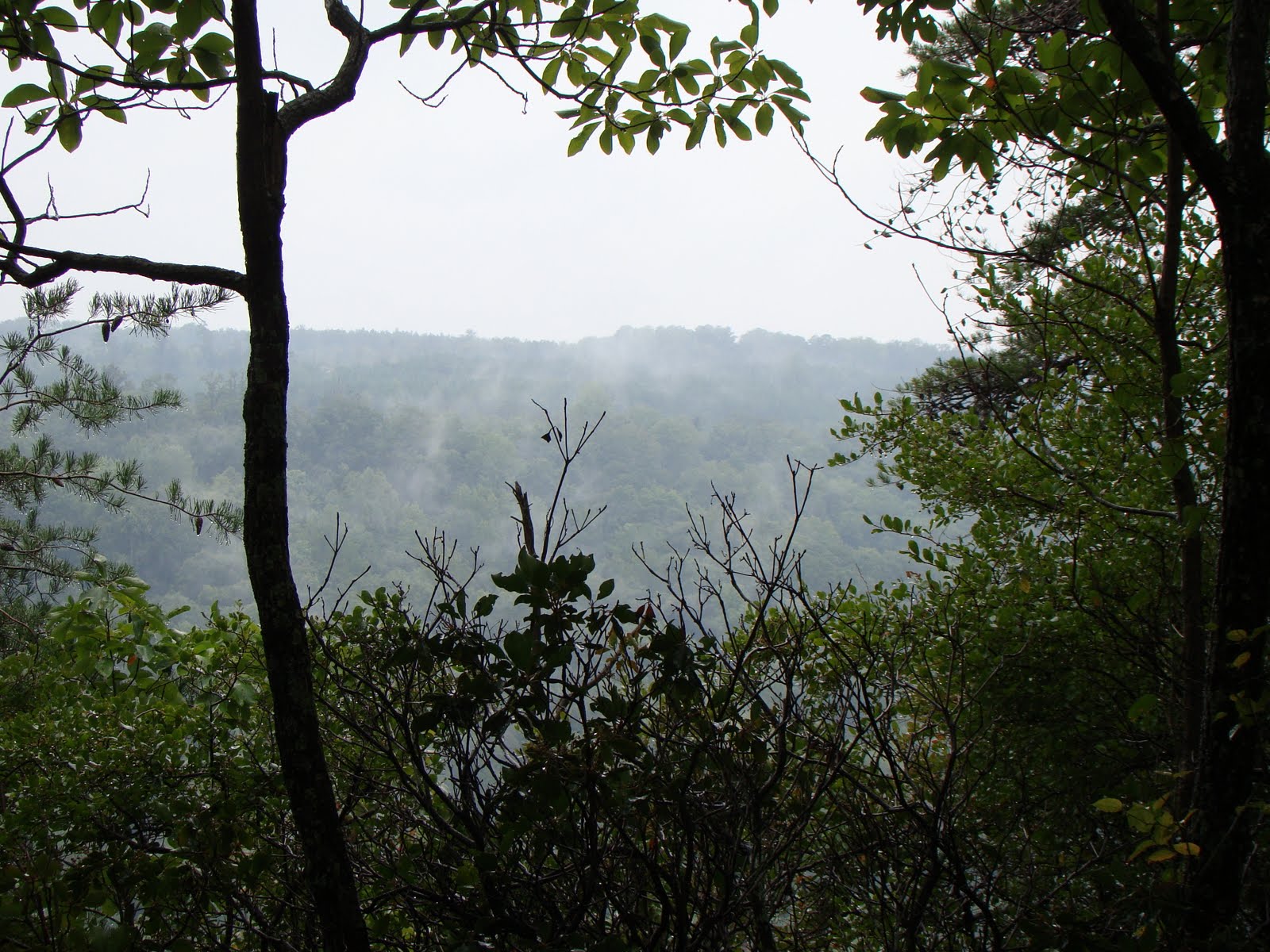 [DSC01807.JPG]