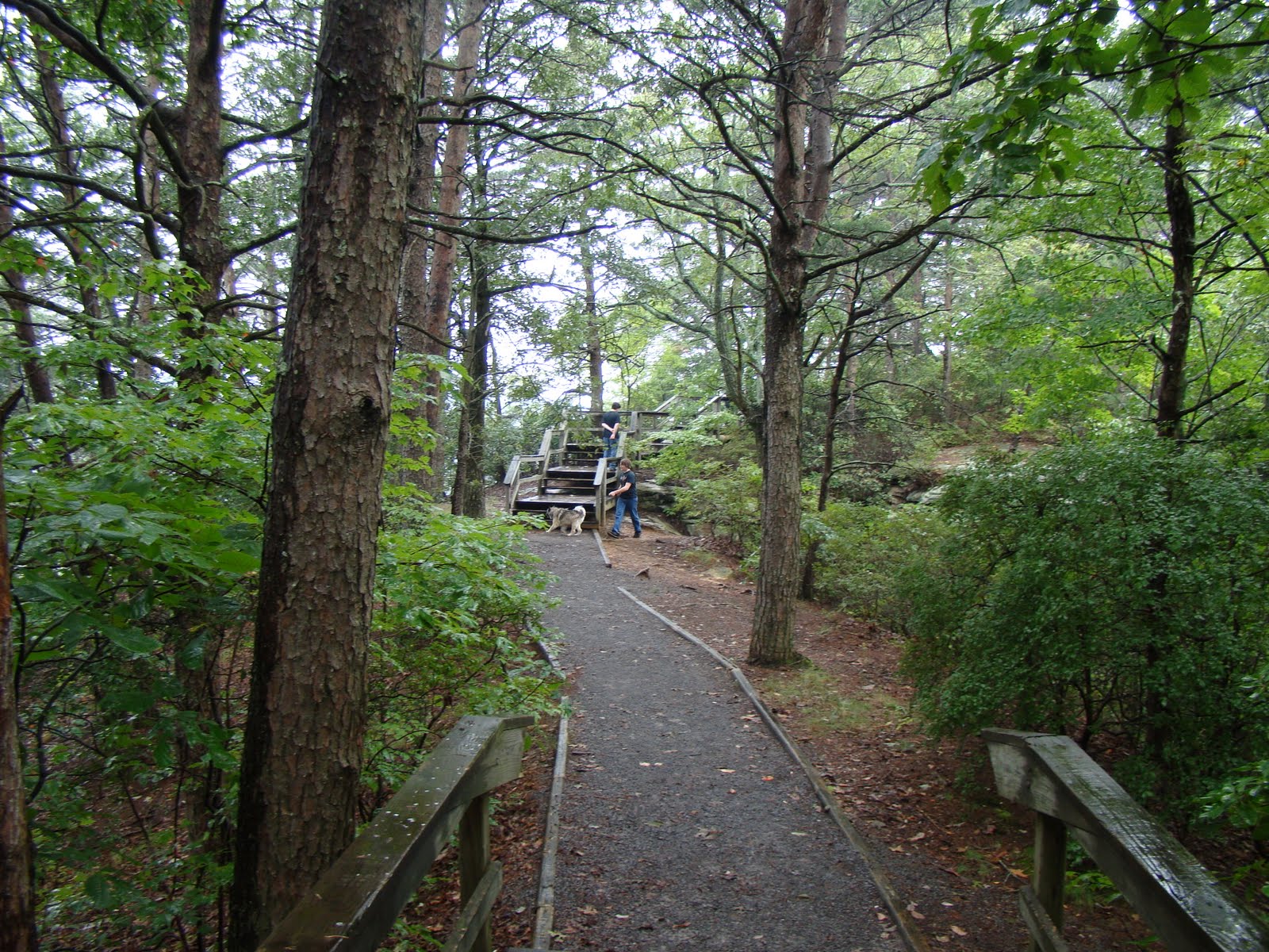[DSC01804.JPG]
