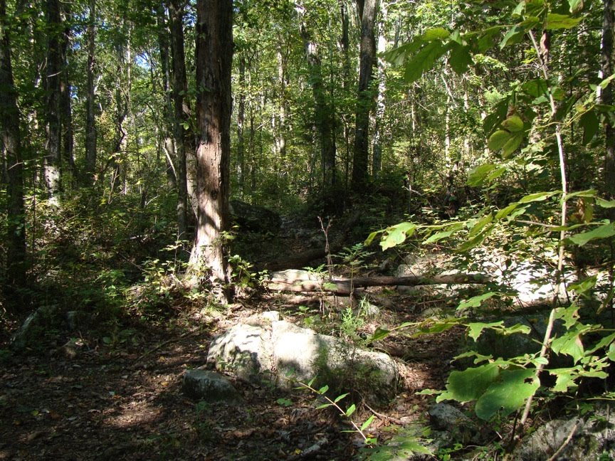 [DSC01888.JPG]