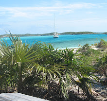 The View from Capture Beachf, Southern Anchorage