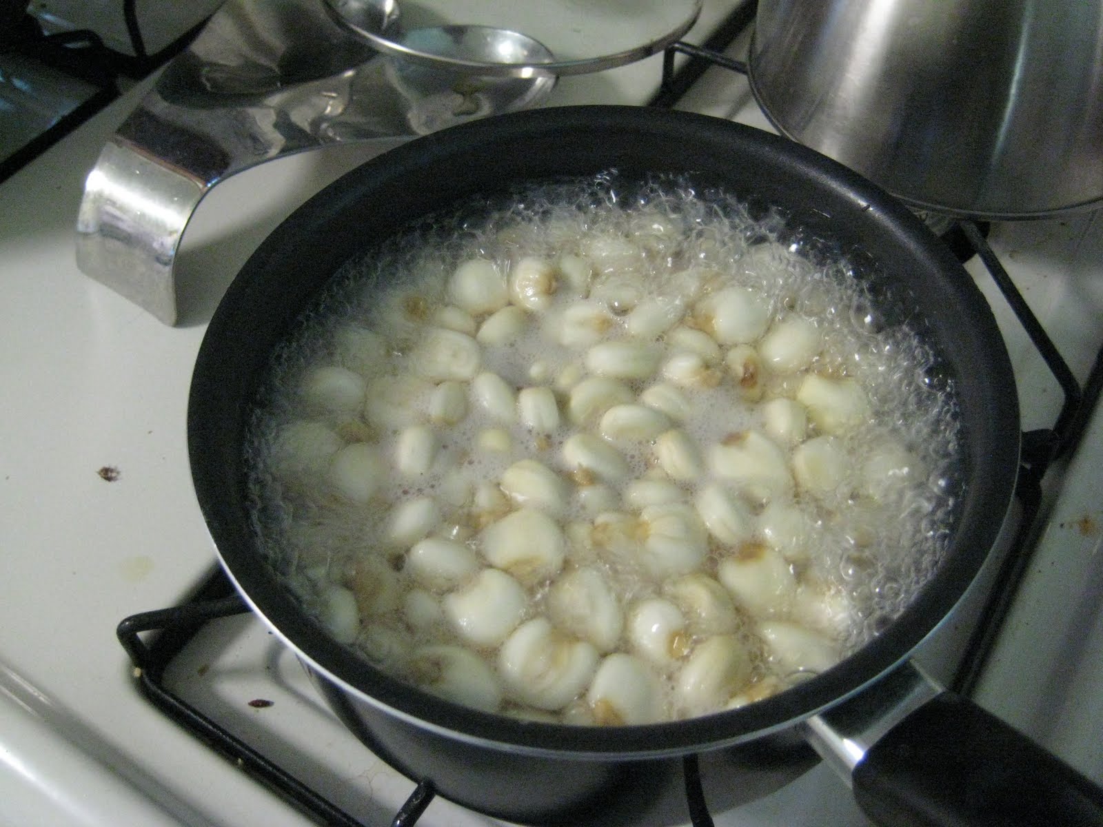 haphazard musings and creations peruvian corn