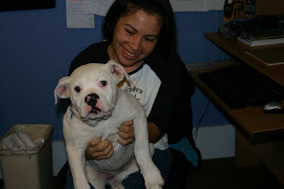  Camdens Looking for Love