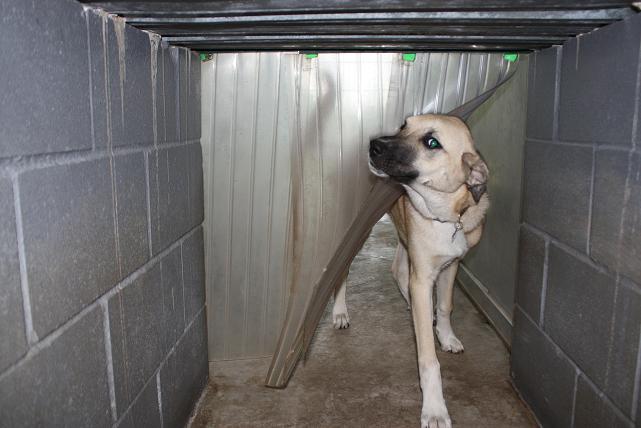 [TaylorMarie+009.jpg]