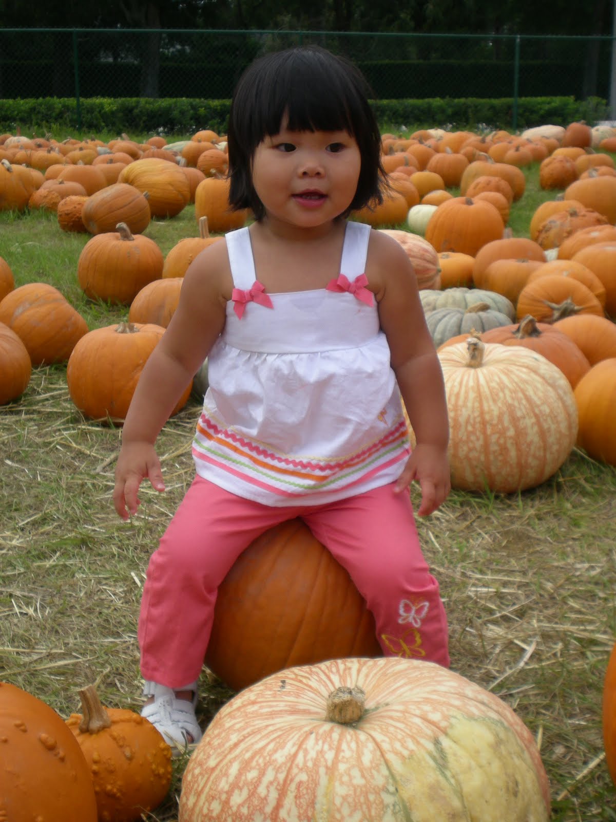 [10-21-2009+Pumpkin+Patch+012.JPG]