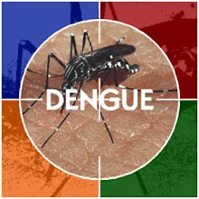 Dengue não é só sinônimo de mosquito...