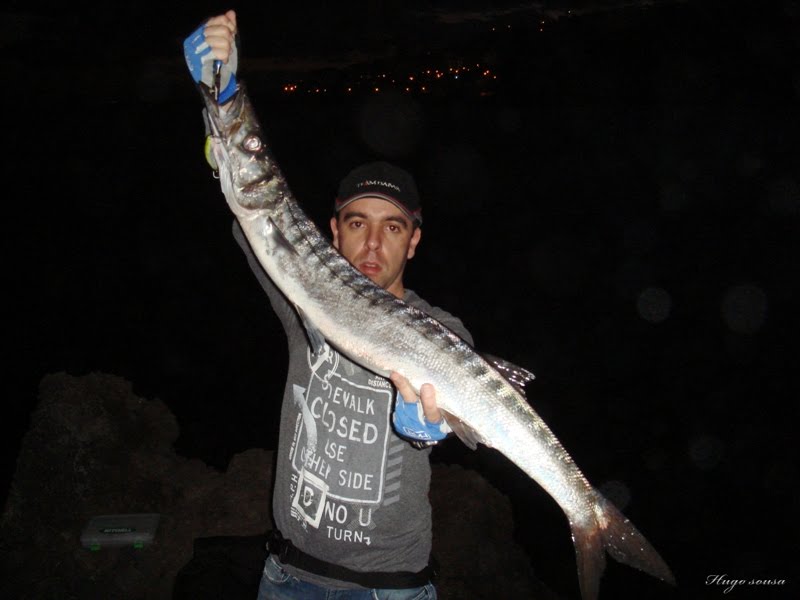 [DSC02466+copy..jpg]