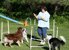 Dee Working with her present doggies