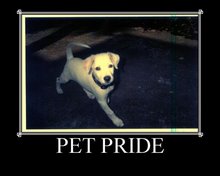 [PETPRIDE.jpg]