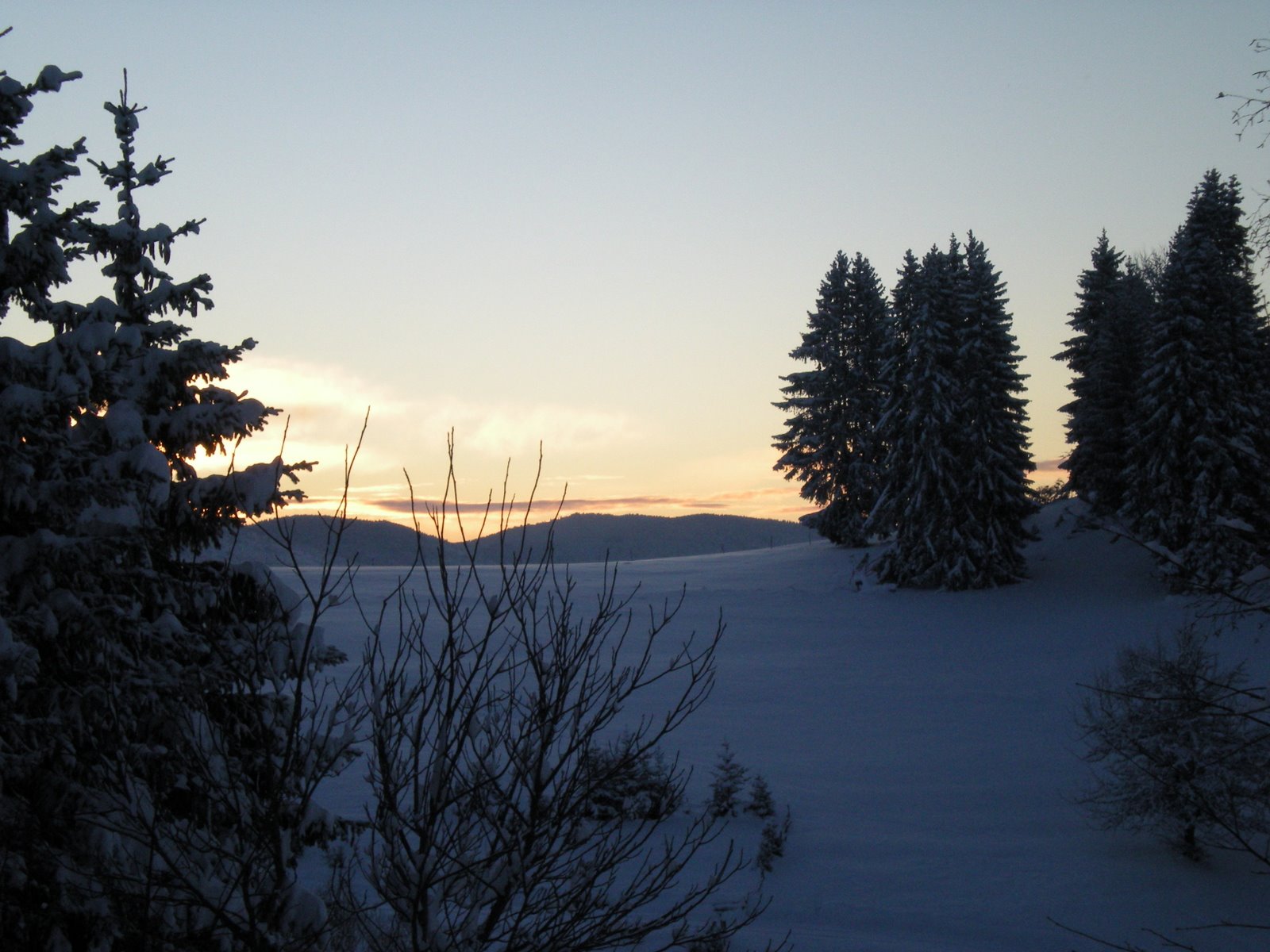 [DSCN1603.JPG]