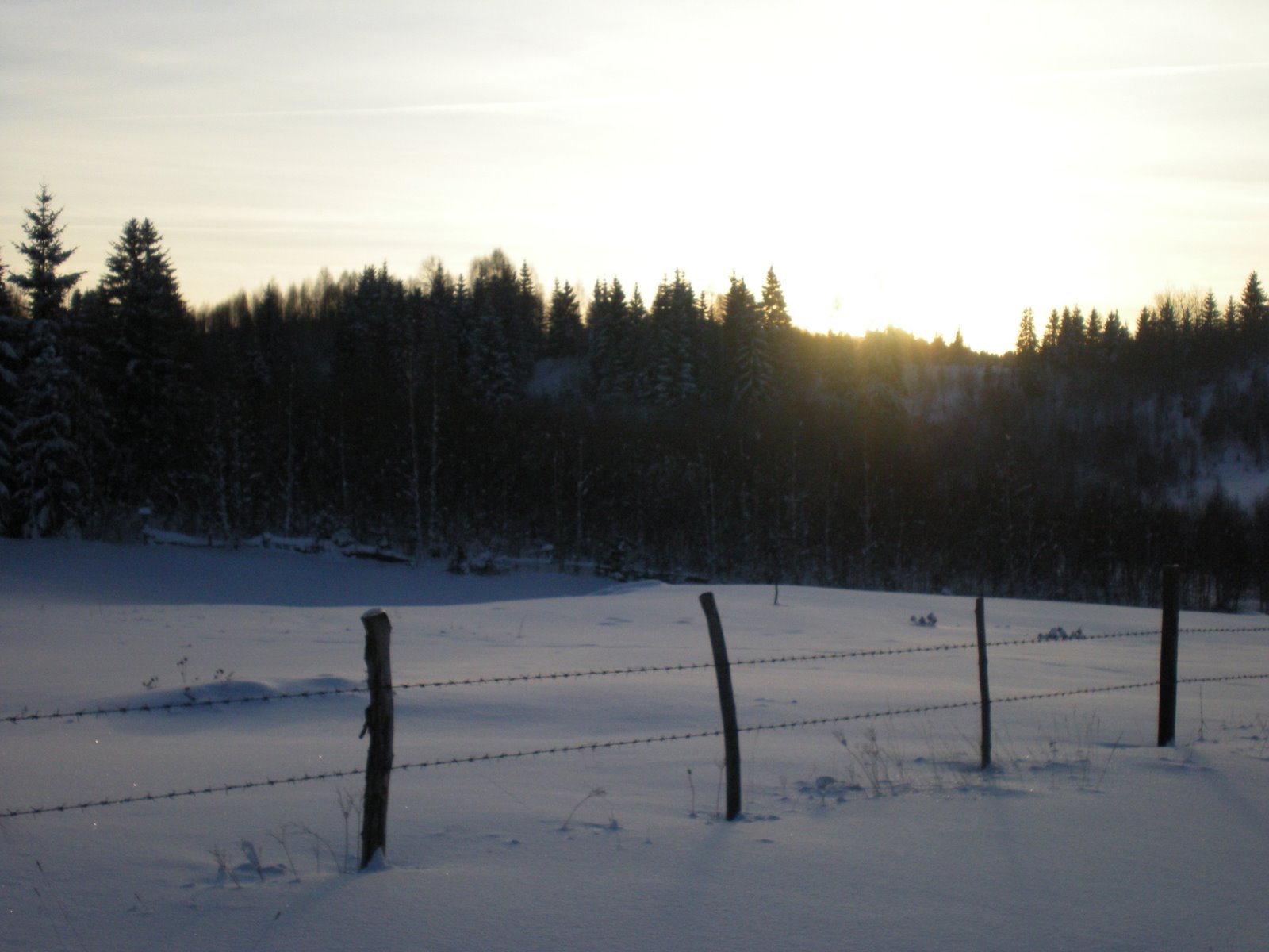 [DSCN1619.JPG]