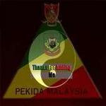 Pekida 360