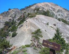 Mt. Baldy (10,064 ft)
