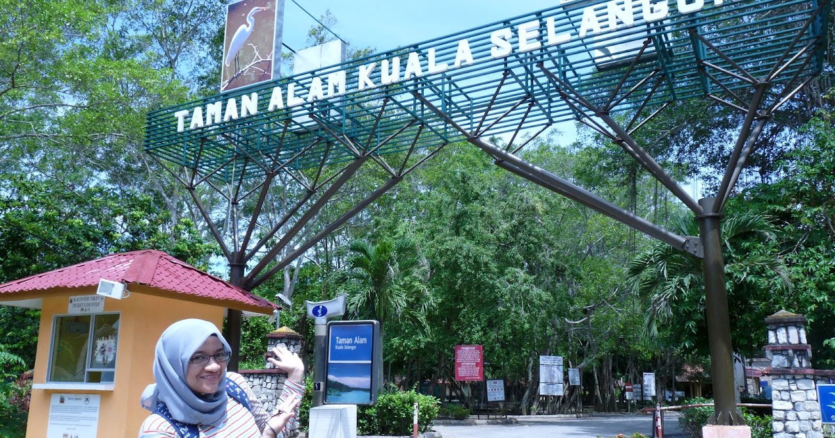-cik kodok naik Air Asia-: Taman Alam, Kuala Selangor
