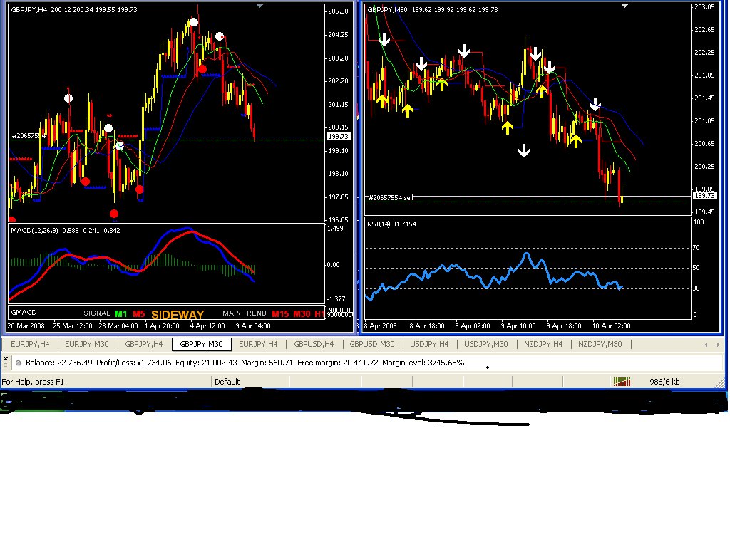 EXPERT FOREX TRADER USING MANY INDICATOR DURING FOREX TRADING...THIS WILL GUIDE THE TRADER