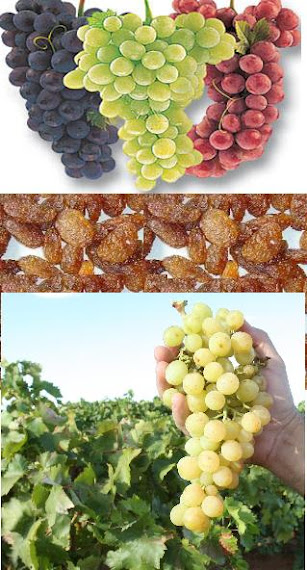 ANGGUR KISMIS RAISIN GRAPE