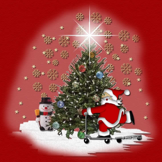 [Natal.jpg]