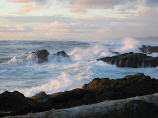 Oregon Coast