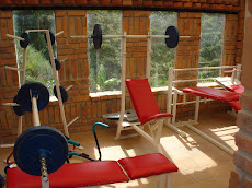 Gimnasio con vista panorámica.