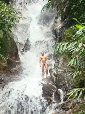 Disfrute de cascadas y arroyos.