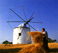 [moinhoalcabideche.gif]