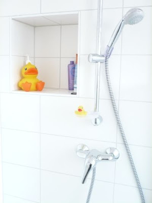 Soisses dasleben: februar 2011