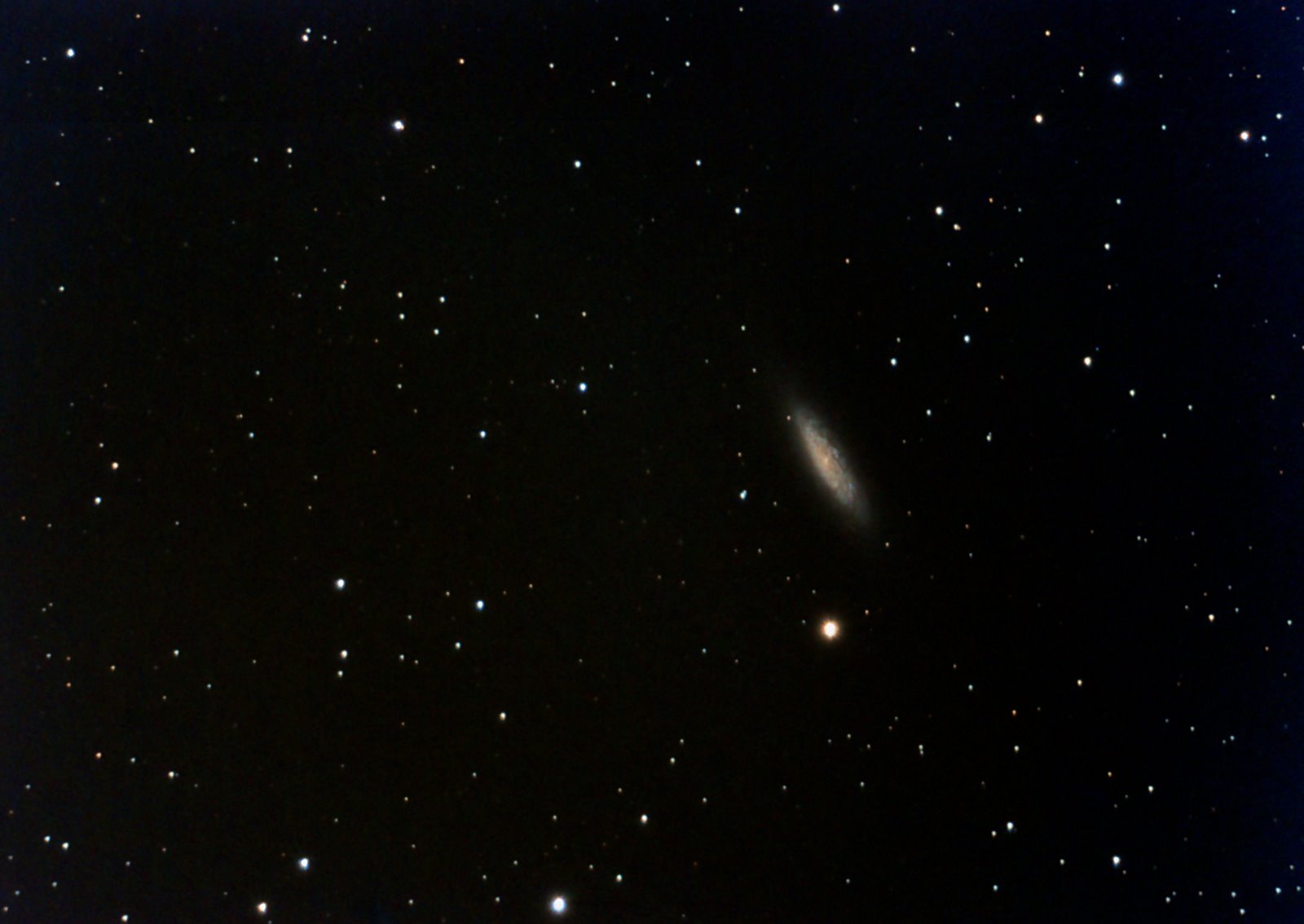 [ngc6503+3.jpg]