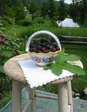 blackberries+04 Sweet Yorkshire Pudding for Summer Visitors