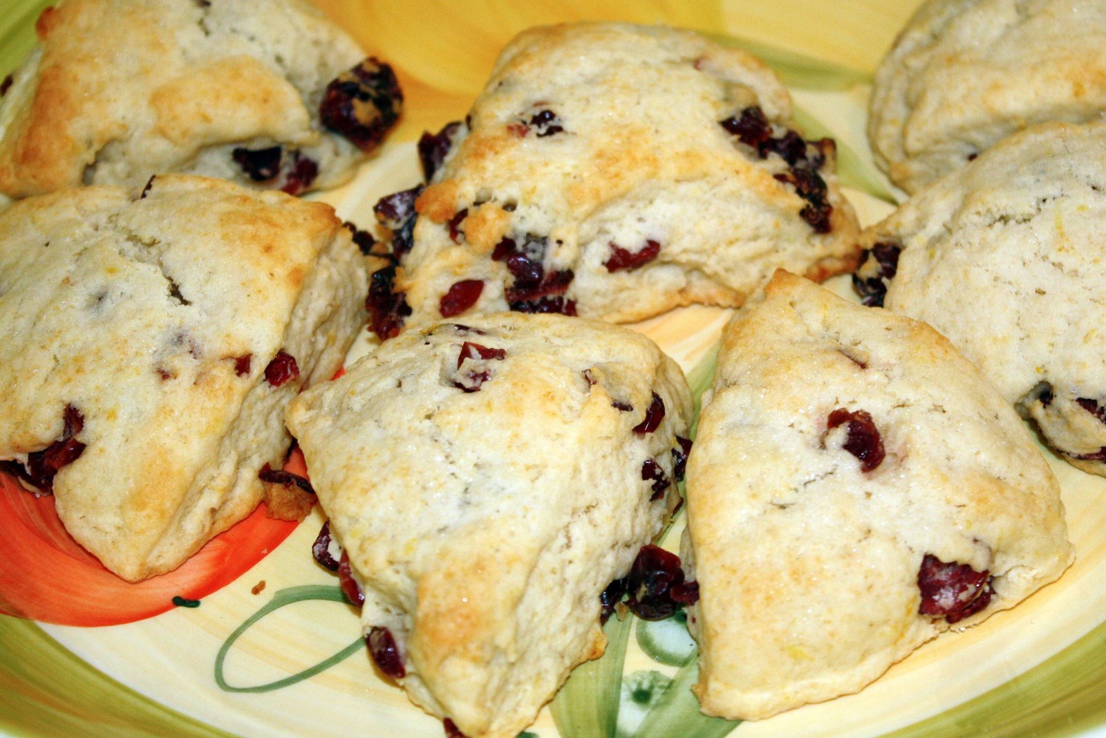 [OCT+2008+142-1.JPG]