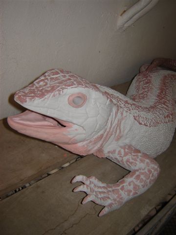 [LAGARTO.JPG]