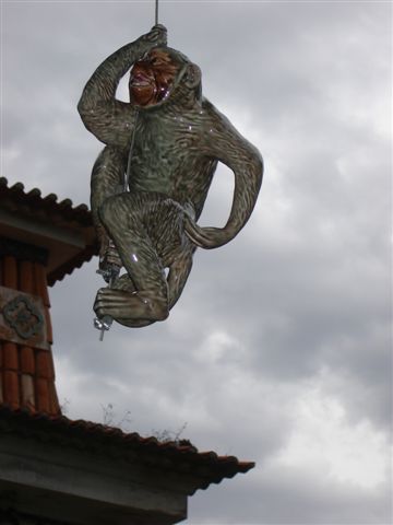 [DSC01305.JPG]