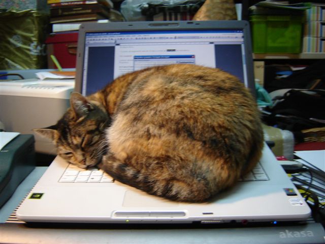 [DSC02216.JPG]