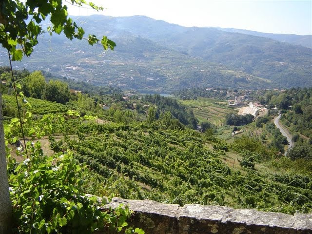 [DSC02767.JPG]
