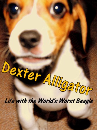 Dexter Alligator