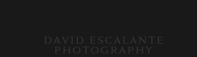 David Escalante | Blog