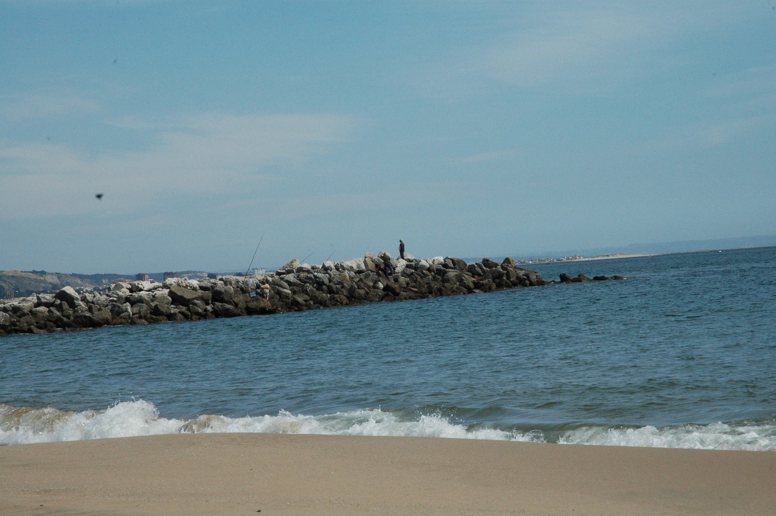 [DSC_8686.JPG]
