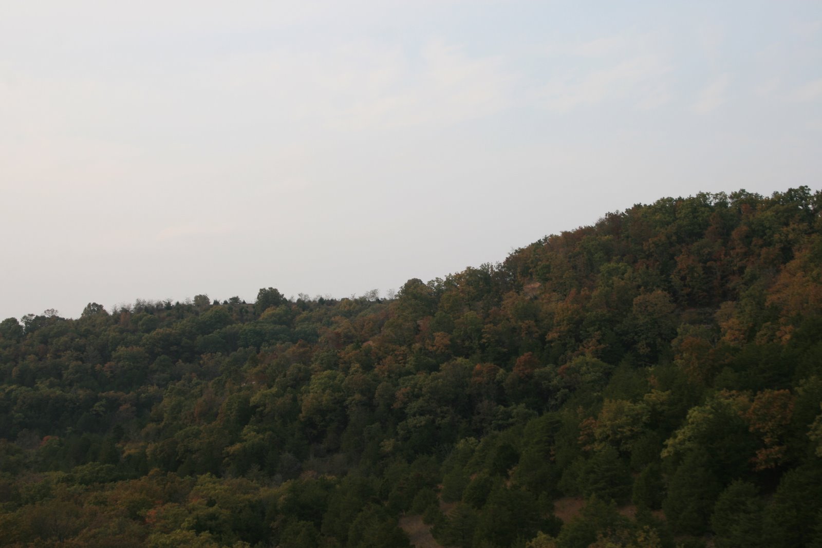 [IMG_5080.JPG]