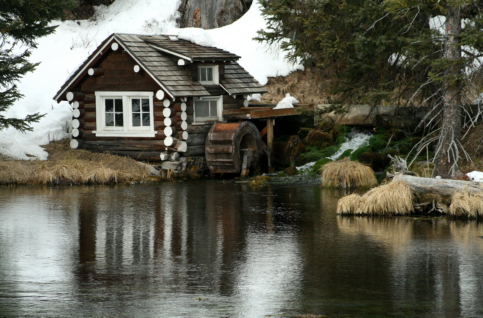 Elk Lake News Life At A Montana Mountain Lodge May 2010