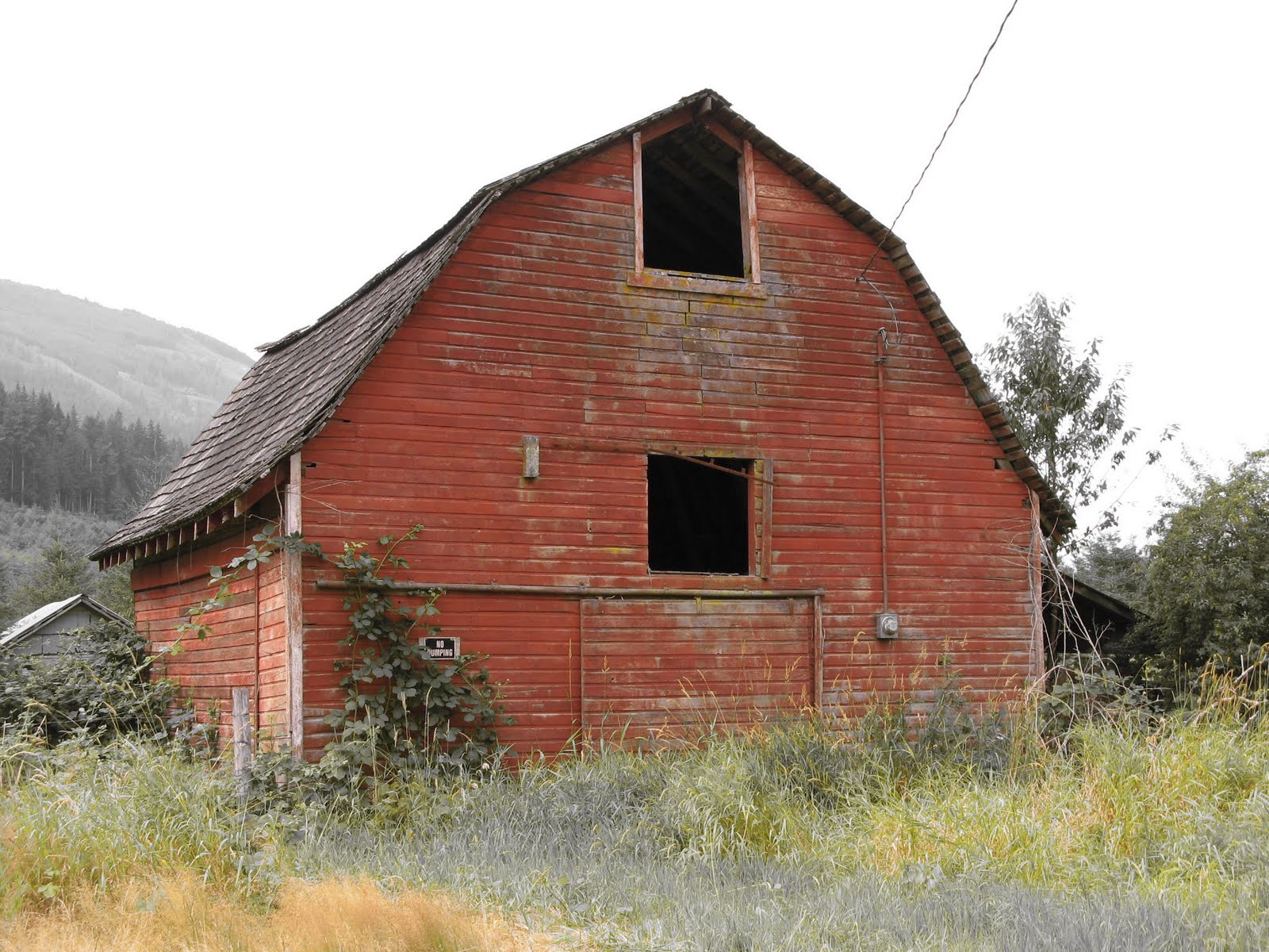 Lane and Syl Barns of Washington State