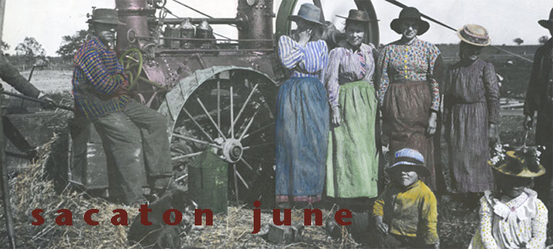 sacaton june