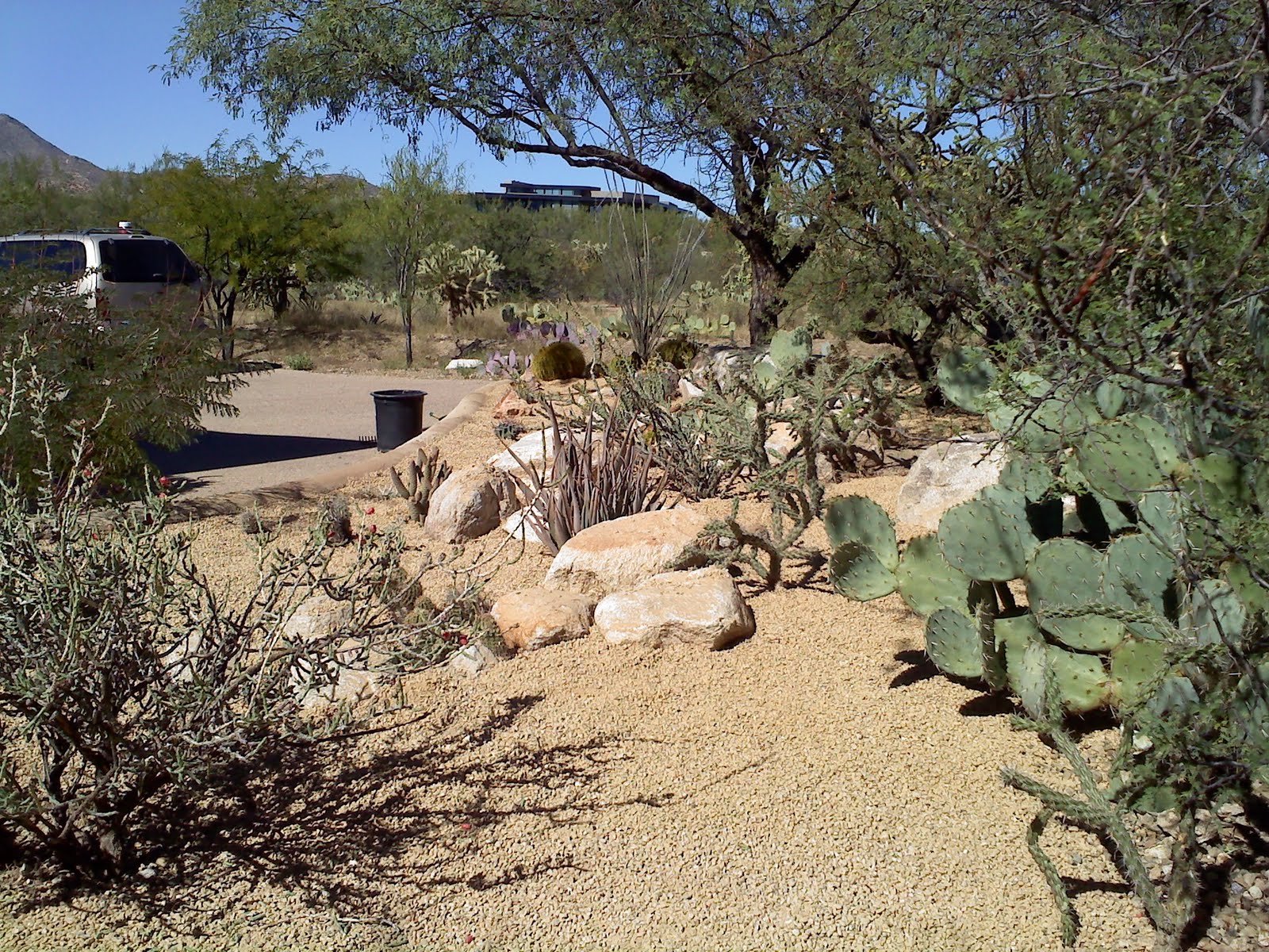 Tucson Quality Landscaping Tucson Quality Gravel Spreading Landscaping
