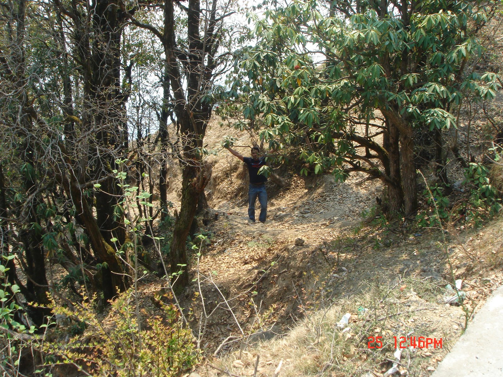 [DSC02227.JPG]