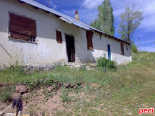 mala abbemı