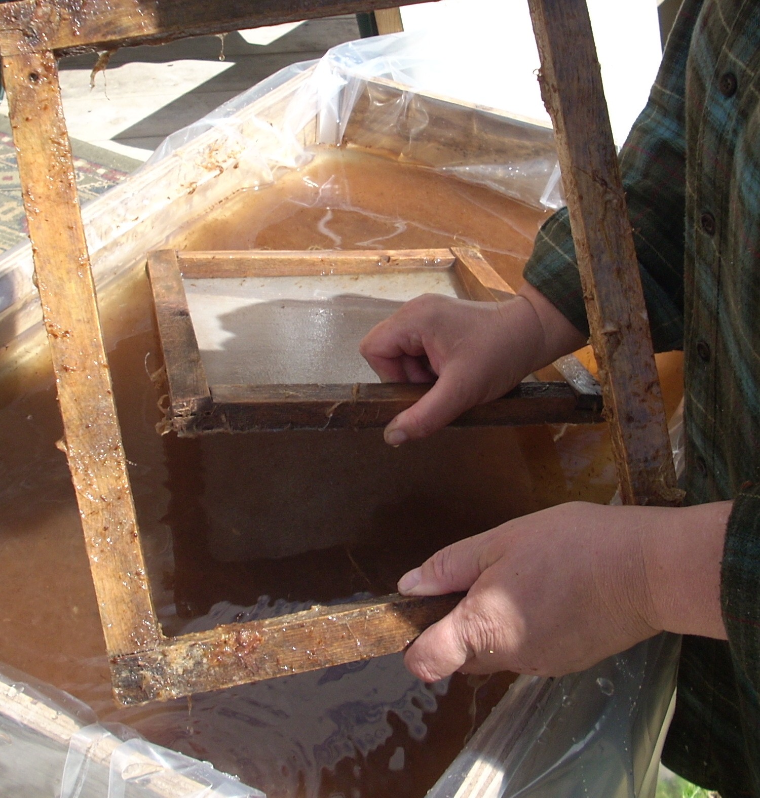 LizAnna's Studio Make Your Own Paper from Plants