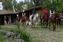 EQUIPO DE POLO