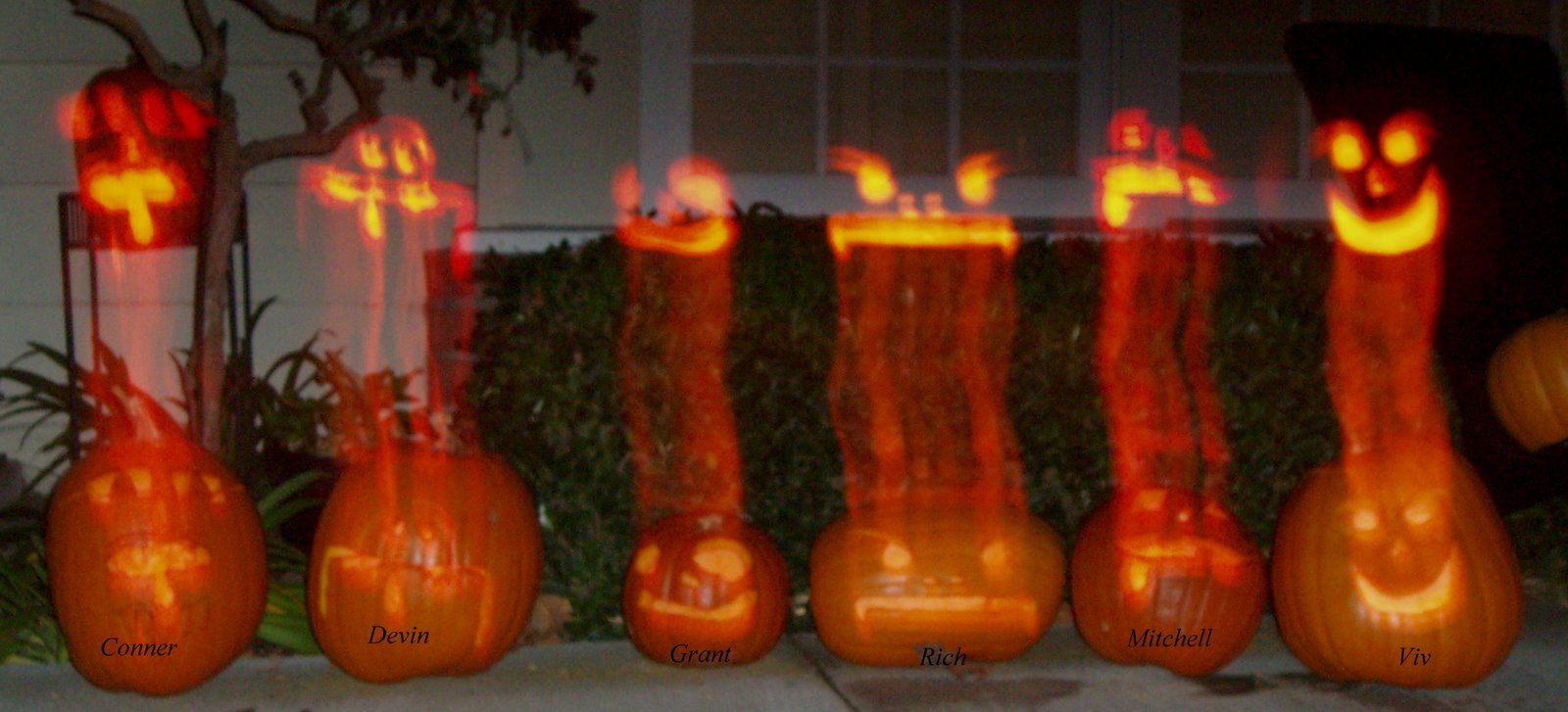 [October+2008+068+(3).jpg]