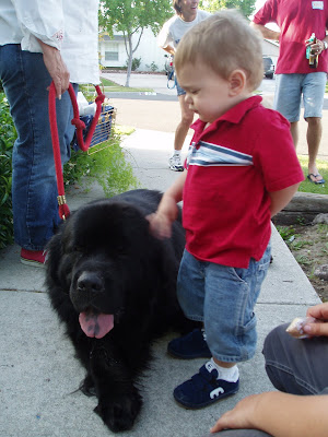 big dog and a little boy