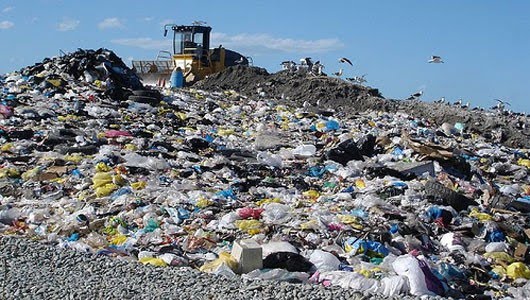 Cuales Son Los Problemas Medioambientales En El Mundo