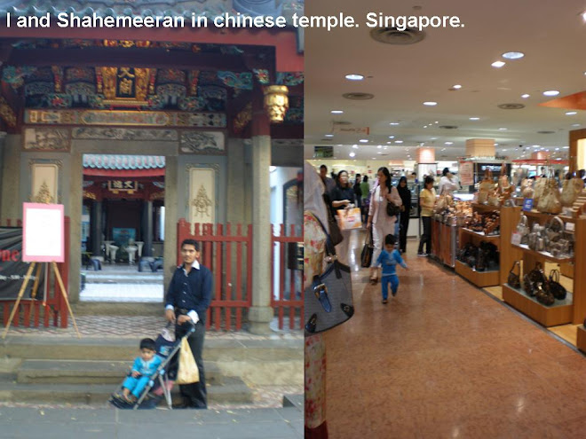 the chinese temple (china town), singapore